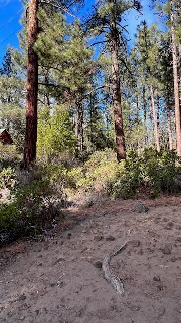 Circle Drive, Old Station, CA 96071 - Image #3