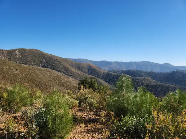 Merry Mountain, French Gulch, CA 96033