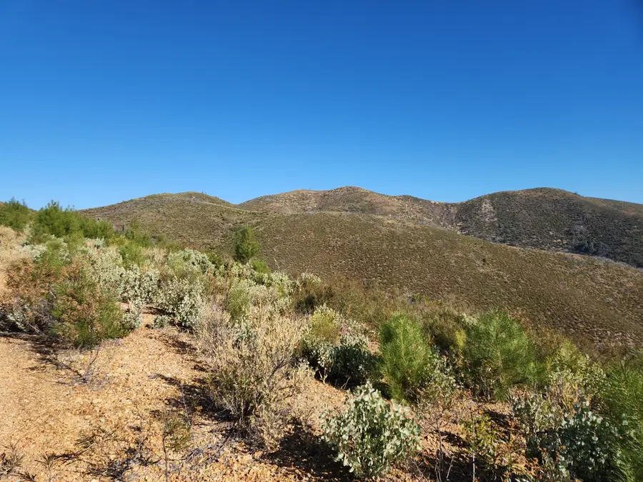 Merry Mountain, French Gulch, CA 96033 - Image #2