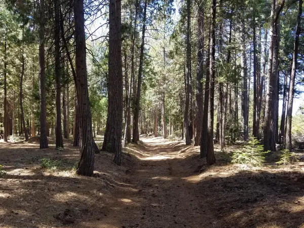 LOT 1 Eckert Lane, Shingletown, CA 96088