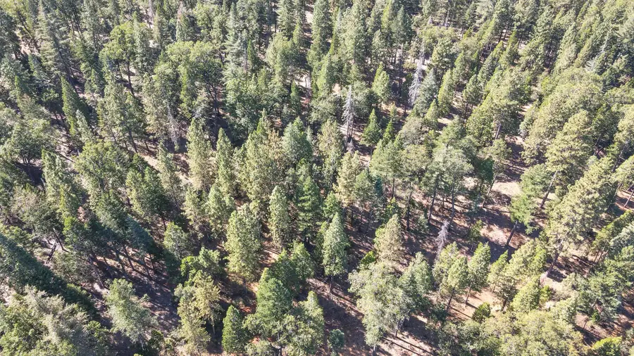 00 Ca-44 Highway, Shingletown, CA 96088 - Image #2