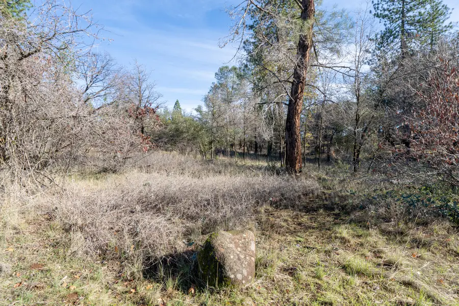 Lot 21 Black Butte Rd Avenue, Shingletown, CA 96088 - Image #3