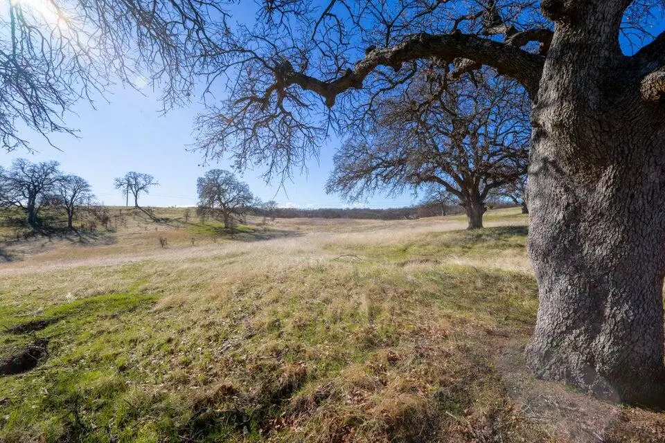 Lot 2 Happy Valley Trail, Red Bluff, CA 96022 - Image #1