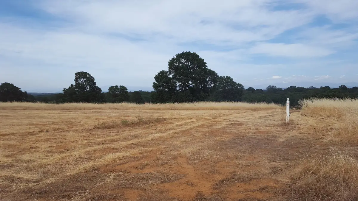 Lot 63 River Downs Way, Cottonwood, CA 96022 - #1