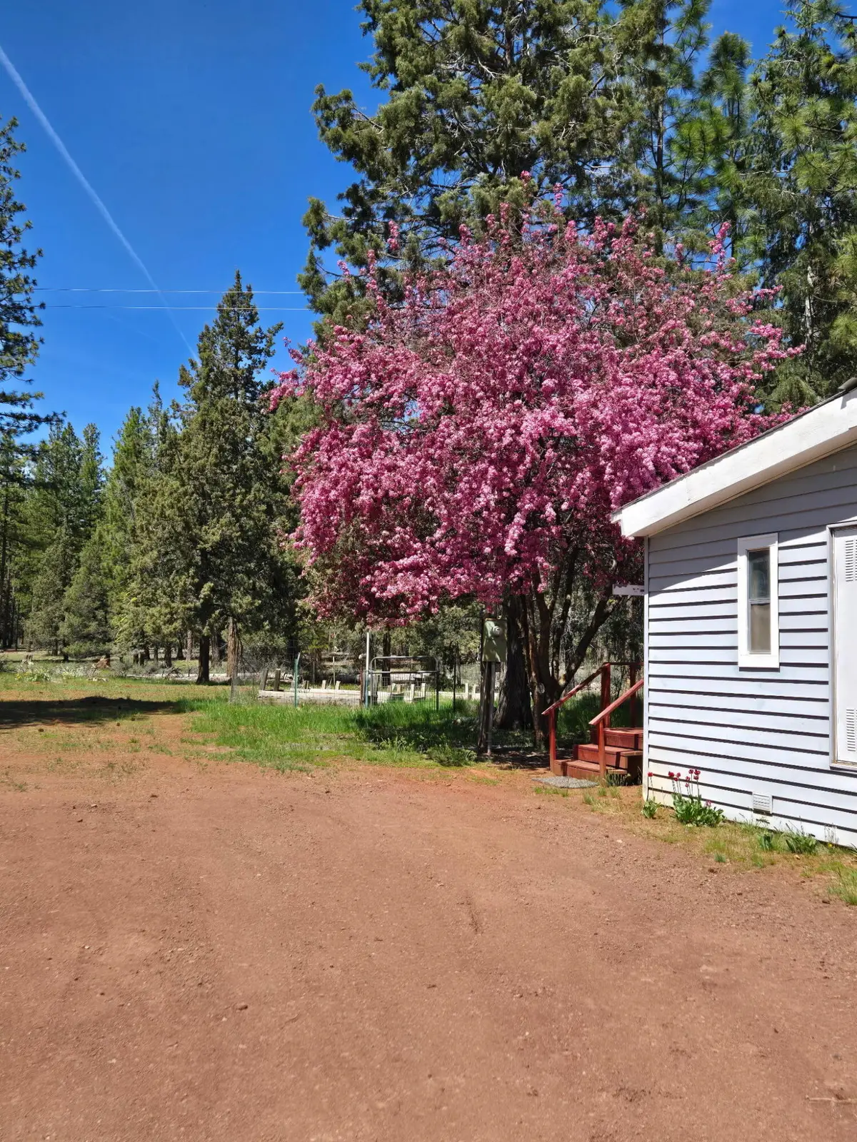 715 Pine Drive, Lookout, CA 96054 - Image #1