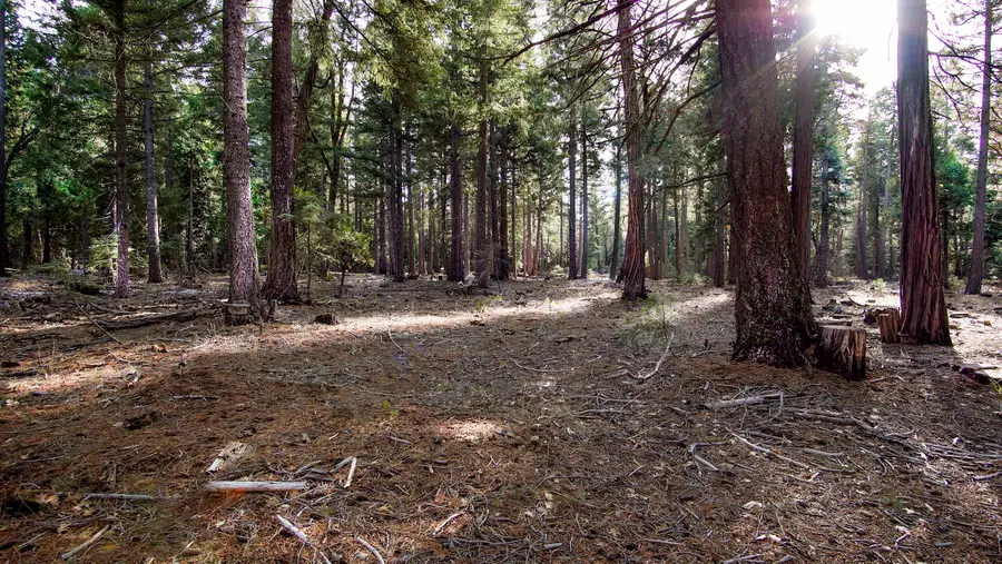 004 Ritts Mill Road, Shingletown, CA 96088 - Image #2