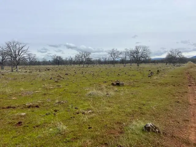 Buffalo Drive, Anderson, CA 96007 - Image #2