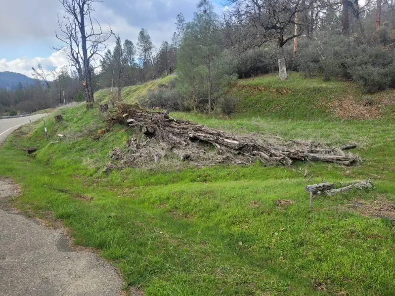 7541 Rush Creek Road, Lewiston, CA 96052 - Image #2