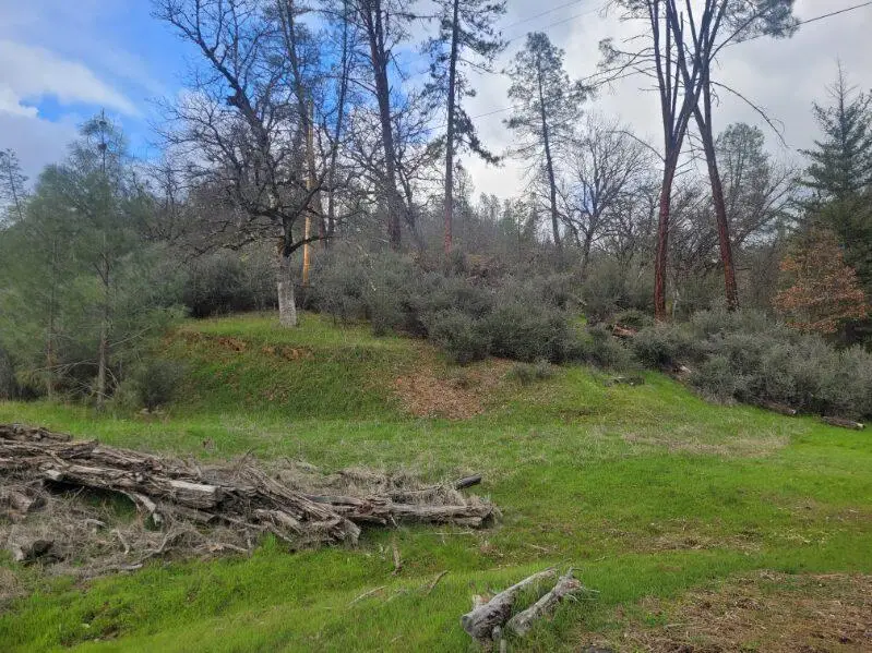 7541 Rush Creek Road, Lewiston, CA 96052 - Image #3