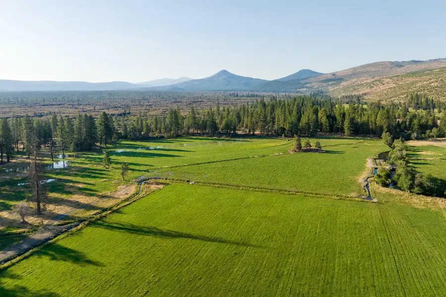 41406 Lonquist Ln, Hat Creek, CA 96040 - Image #3