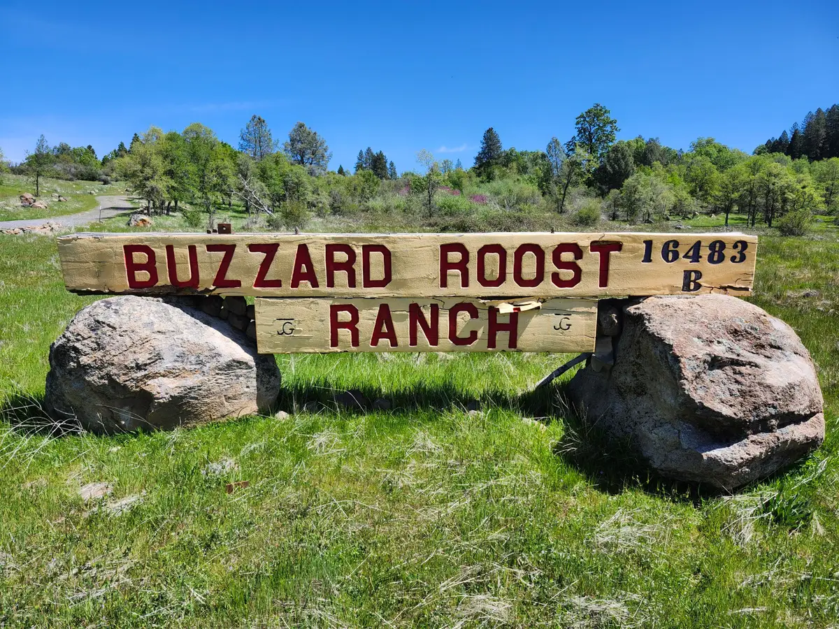 16483 Buzzard Roost Road, Round Mountain, CA 96084 - Image #1