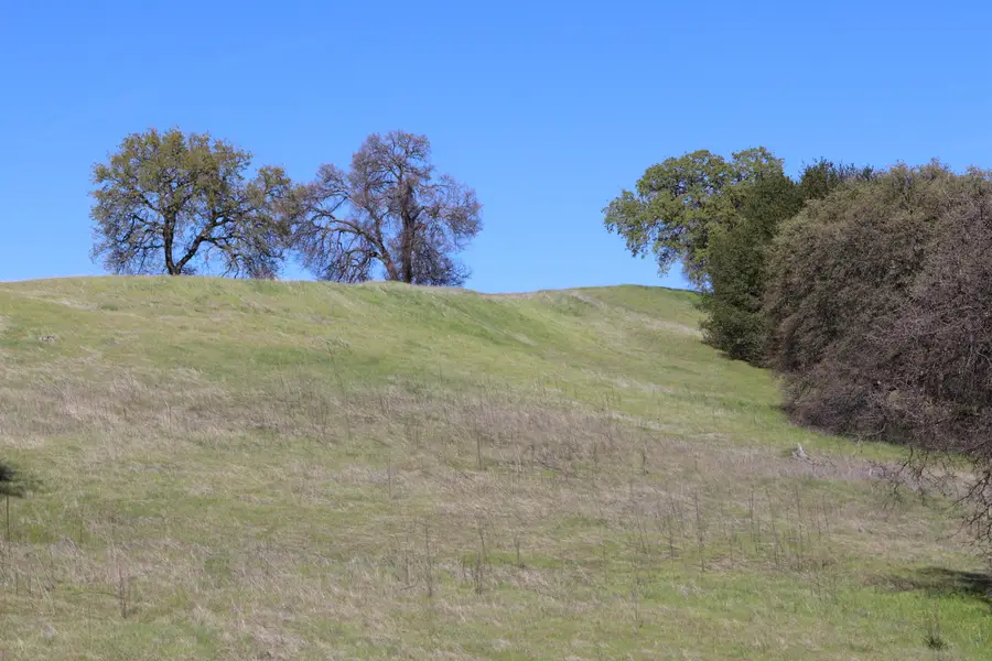 Lot 61 Del Mar Drive, Cottonwood, CA 96022 - Image #3