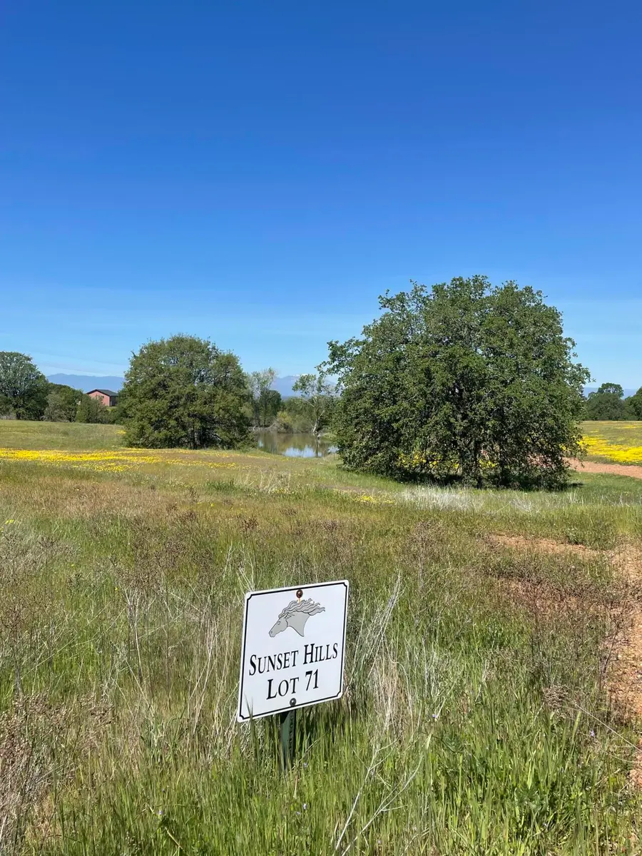 Lot 71 Arlington Park Place, Cottonwood, CA 96022 - Image #3