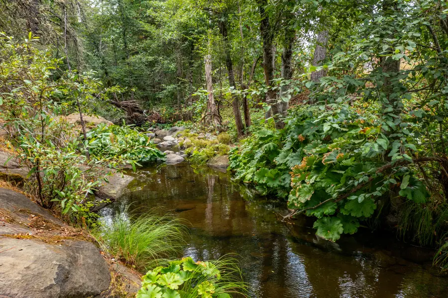 Ponderosa Way-198 Acres Avenue, Shingletown, CA 96088 - Image #3