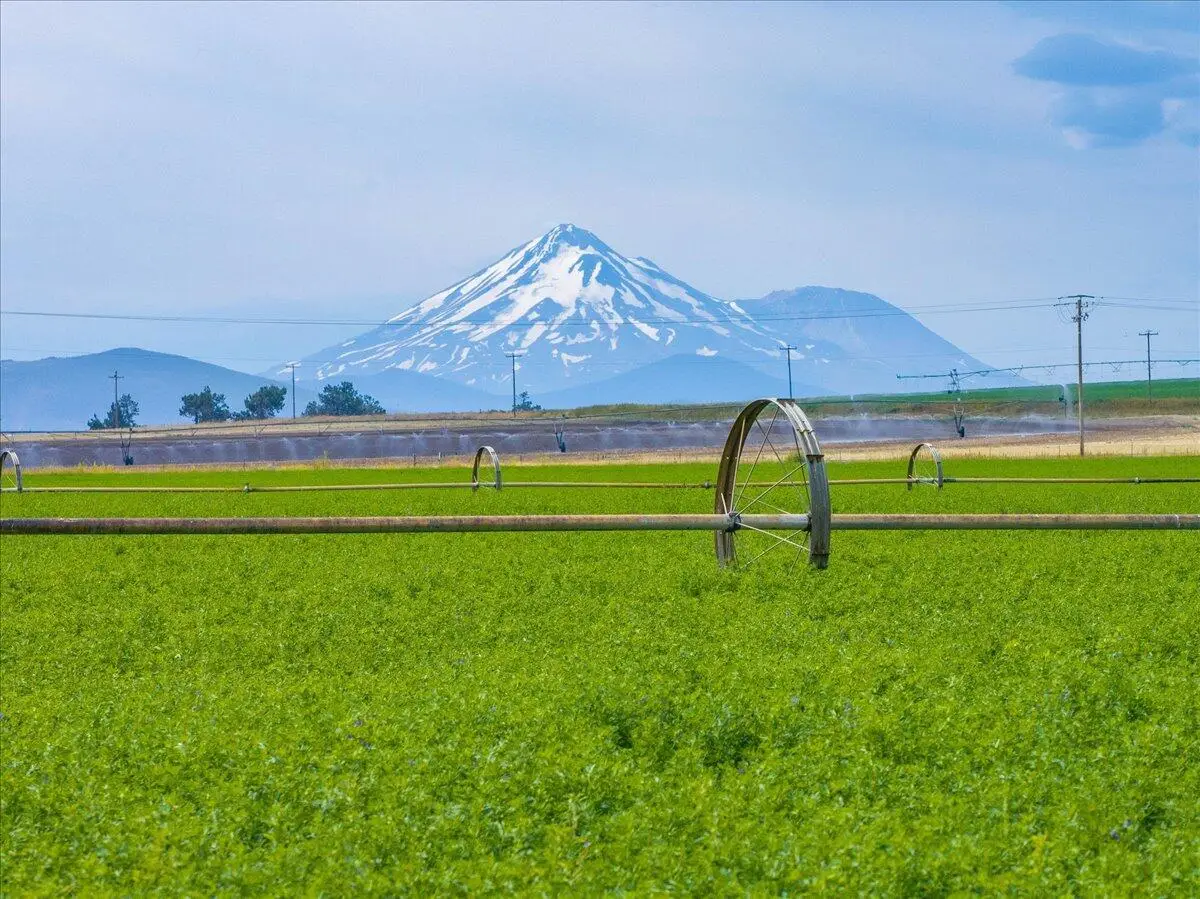 2935 Sheep Mountain Road, Macdoel, CA 96058 - #1