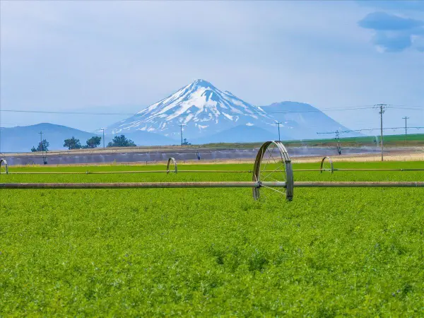 2935 Sheep Mountain Road, Macdoel, CA 96058