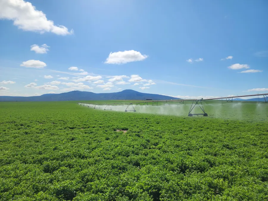 2935 Sheep Mountain Road, Macdoel, CA 96058 - #3