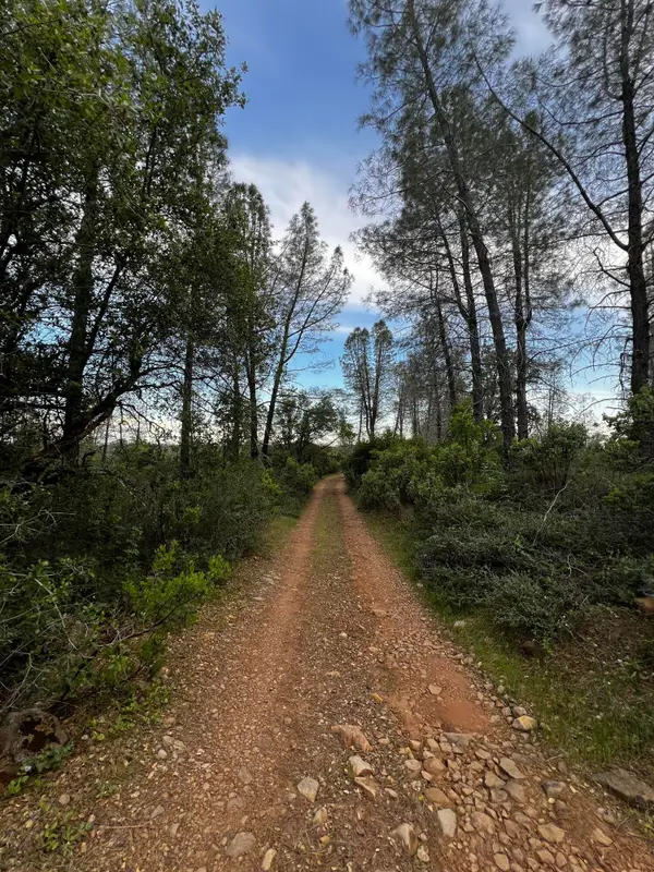 60 Acres Donkey Mine Road, Oak Run, CA 96069