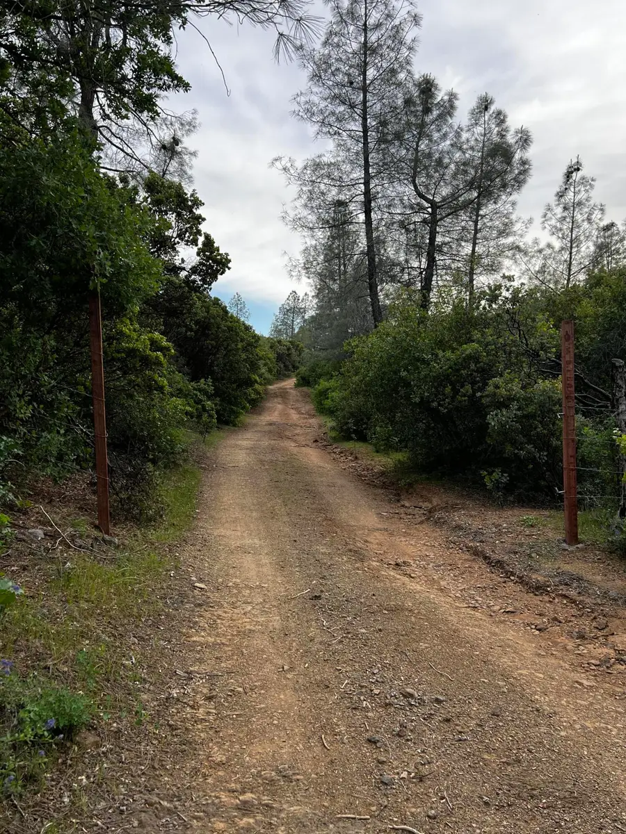 60-Acres Donkey Mine Road, Oak Run, CA 96069 - Image #3