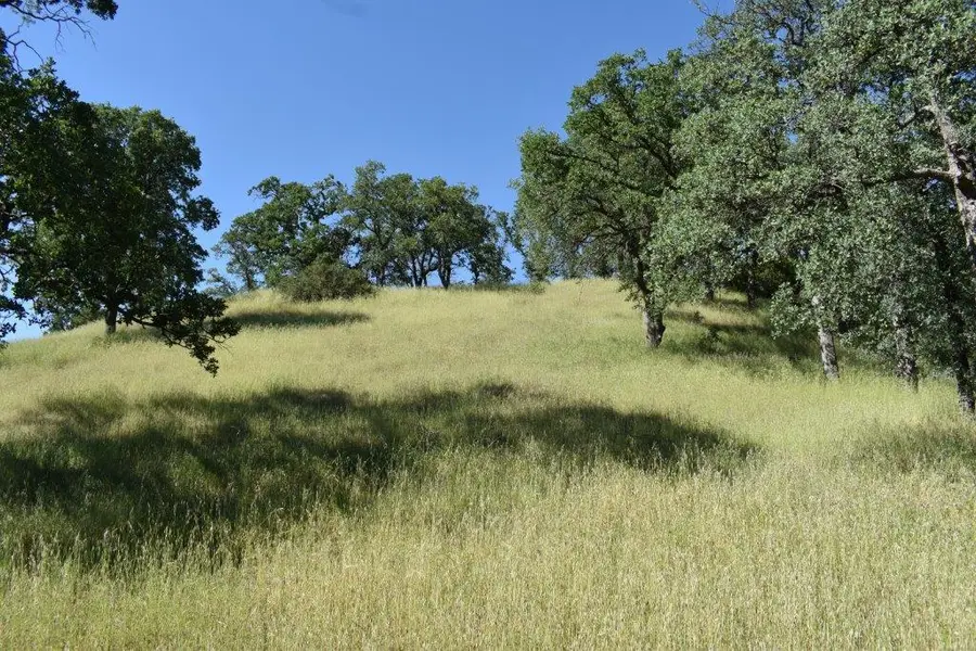 Lot 30 Tract 91-1004 Eagle Valley Ct, Red Bluff, CA 96080 - Image #2