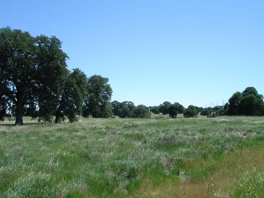 Lot 64 River Downs Way, Cottonwood, CA 96022 - Image #2