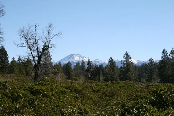 Address Withheld By Seller, Shingletown, CA 96088