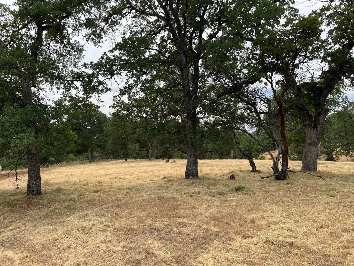 19870 Moose Way, Cottonwood, CA 96022 - Image #1