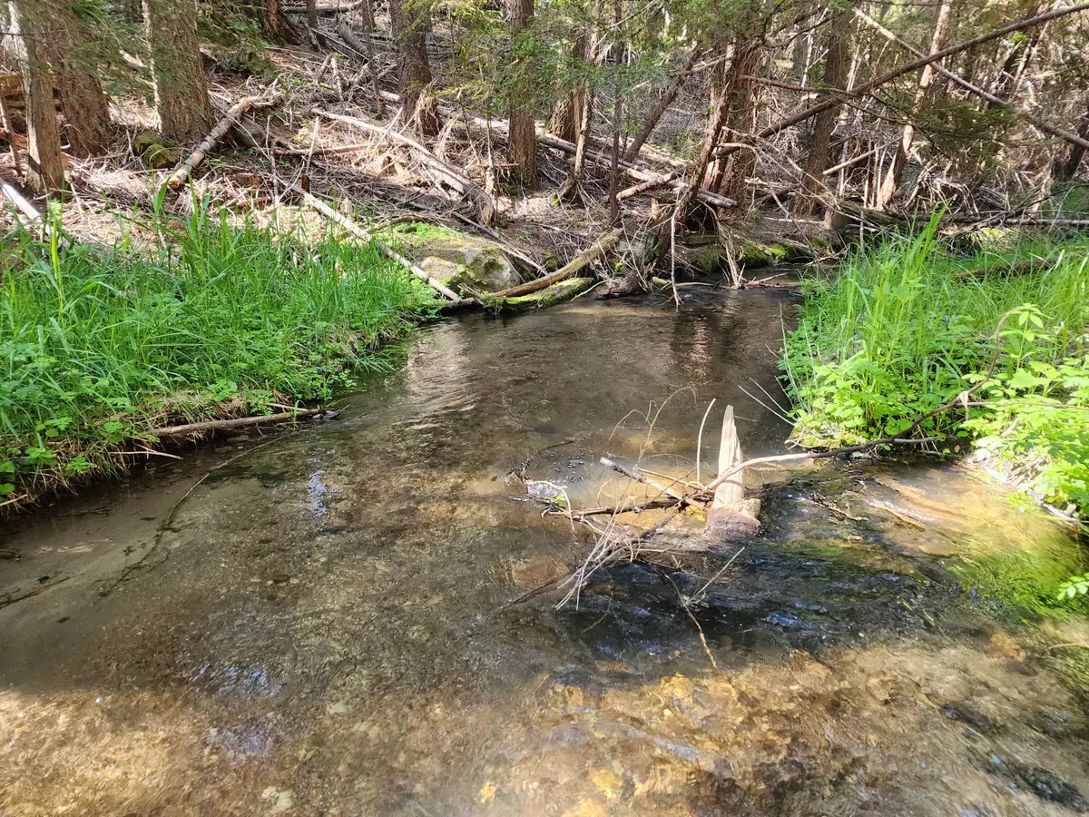 Manzanita Creek Drive, Shingletown, CA 96088 - Image #1