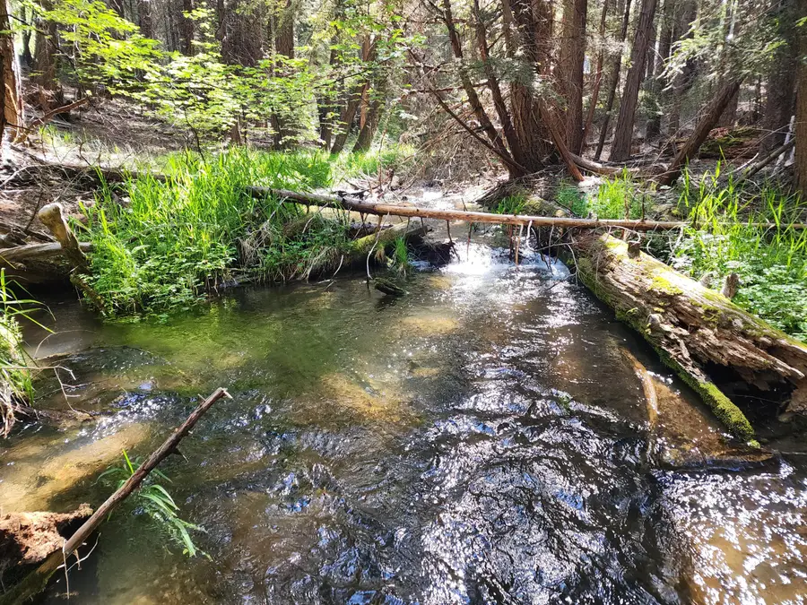 Manzanita Creek Drive, Shingletown, CA 96088 - Image #2