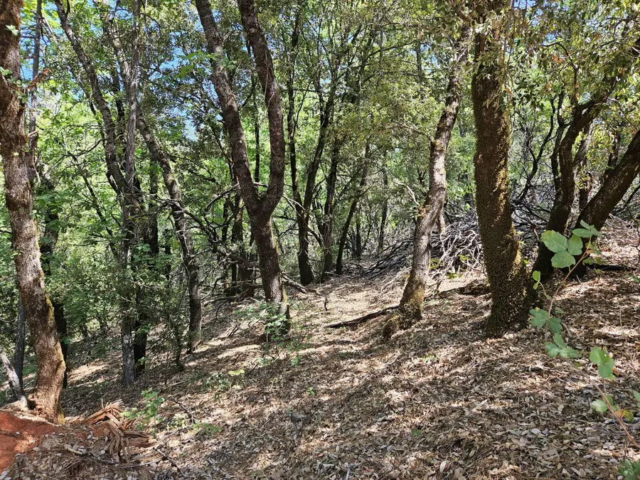 2.53 acres Waterman Road, Lakehead, CA 96051 - Image #3