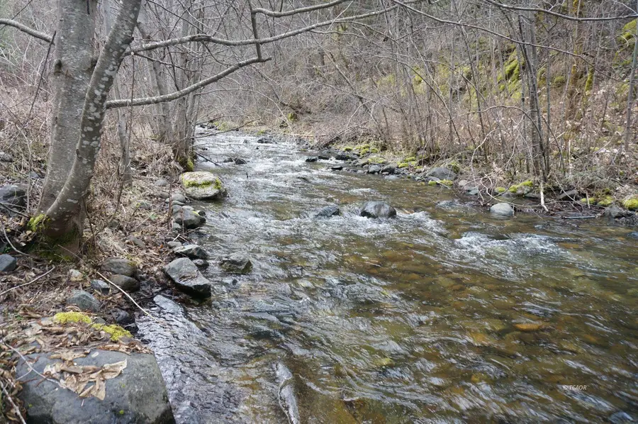 4990 Indian Creek Road, Douglas City, CA 96024 - Image #2