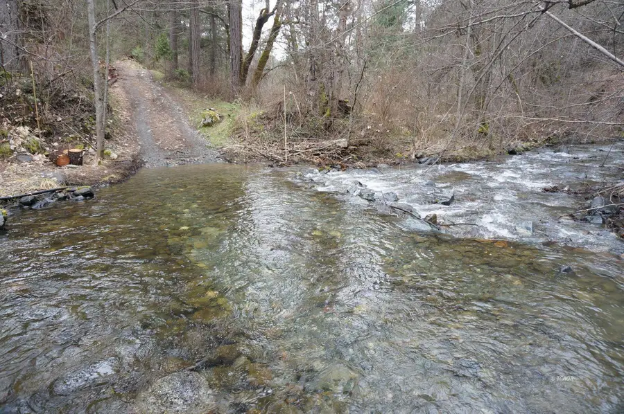 4990 Indian Creek Road, Douglas City, CA 96024 - Image #3