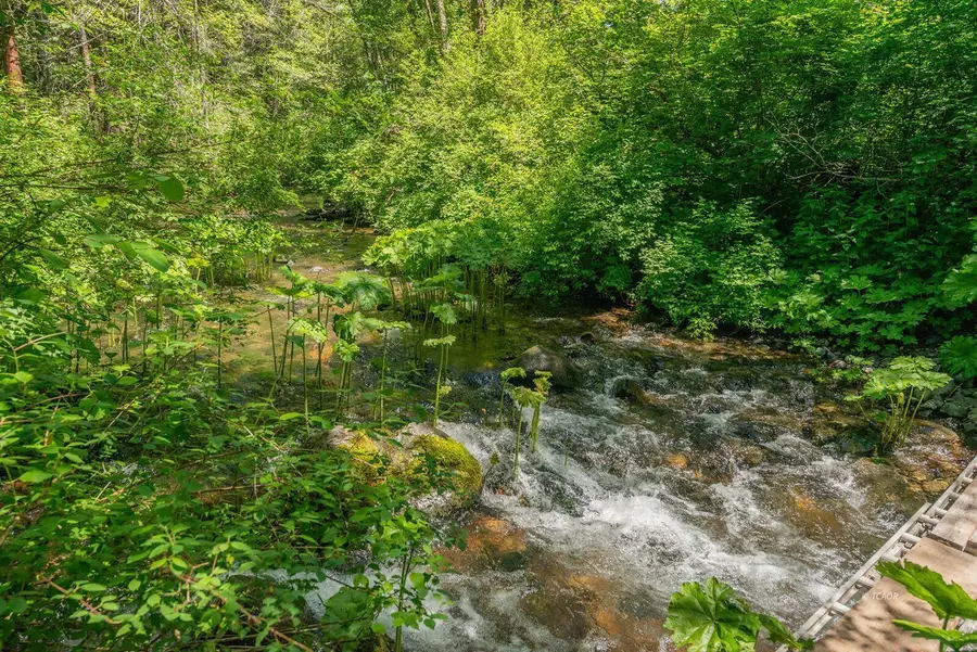 11221 Corral Bottom Road, Big Bar, CA 96010 - Image #3