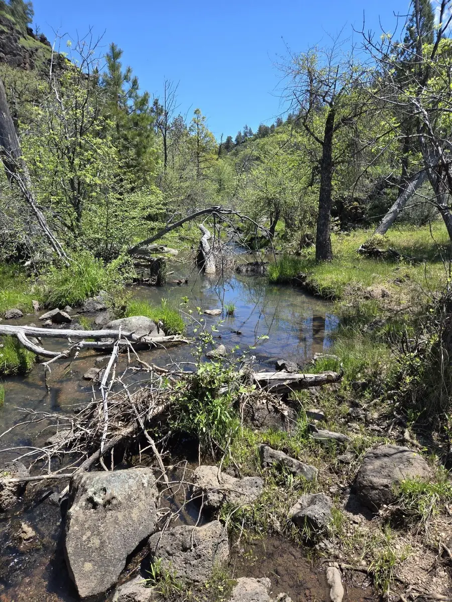 000 Pitville Road, McArthur, CA 96056 - Image #3