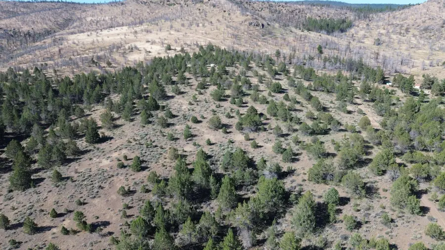 Lot 26 Butte Road, Adin, CA 96006 - Image #3