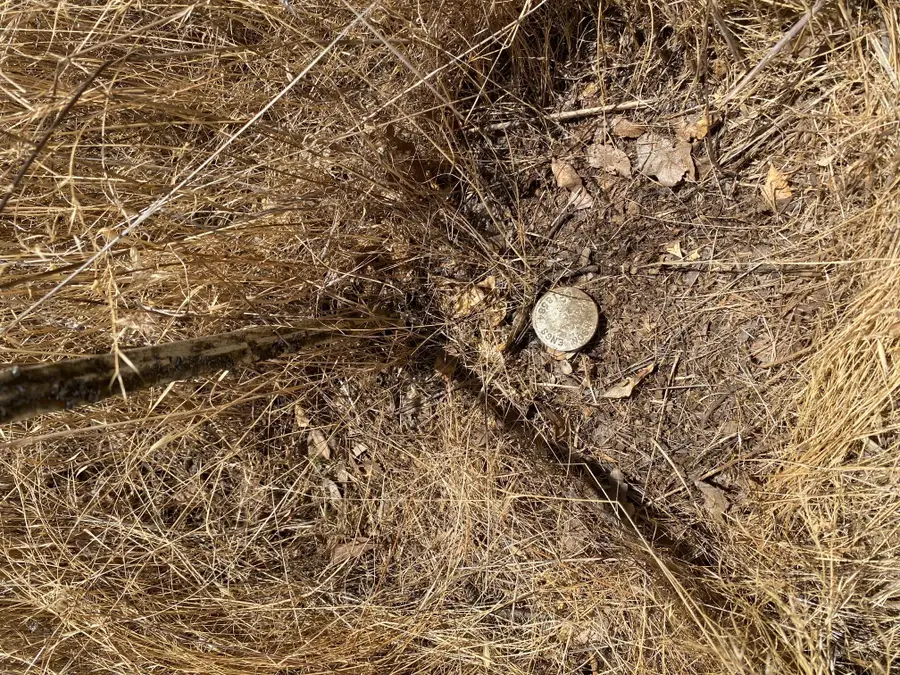 Quail Ridge Road, Cottonwood, CA 96022 - Image #3