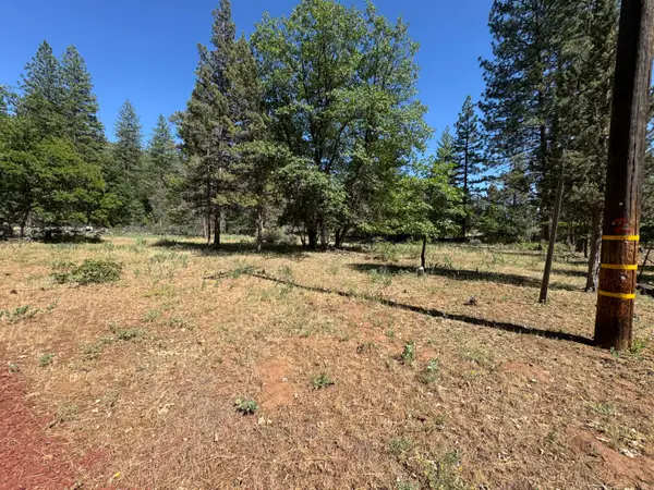 XXX Old Brown Ranch Road, McArthur, CA 96056