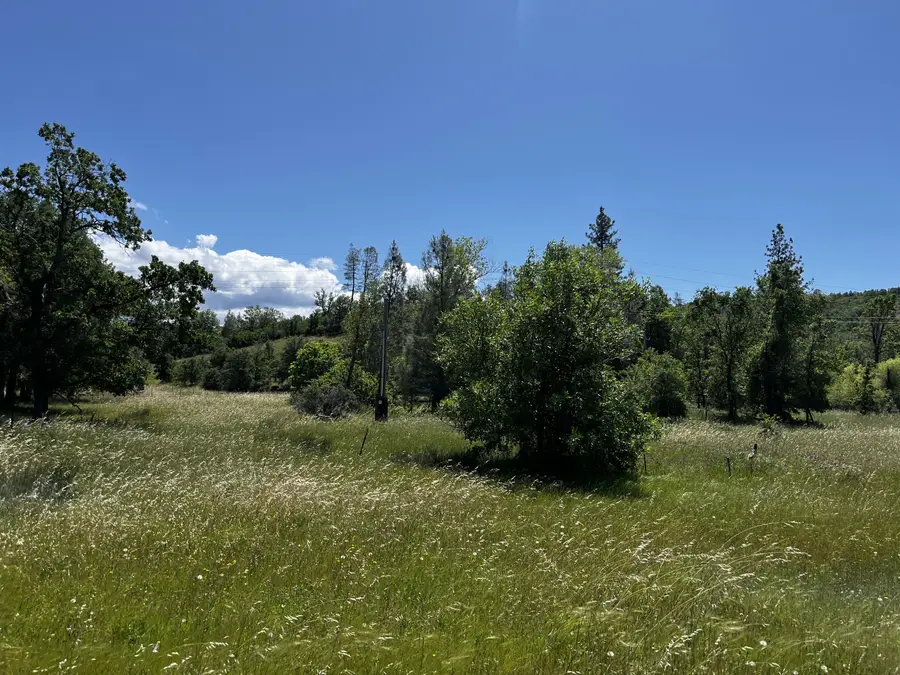 29609 Cedar Creek School Road, Round Mountain, CA 96084 - Image #2