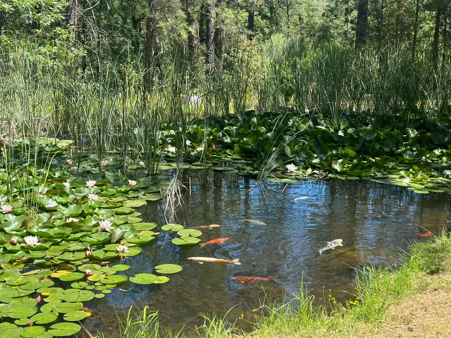 7722 Hidden Creek Lane, Shingletown, CA 96088 - Image #2