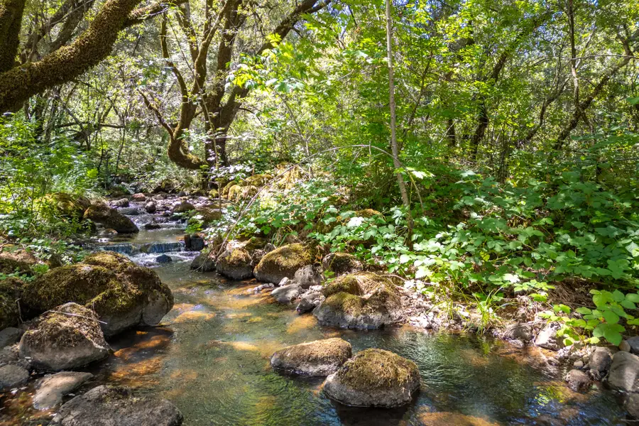 7722 Hidden Creek Lane, Shingletown, CA 96088 - Image #3