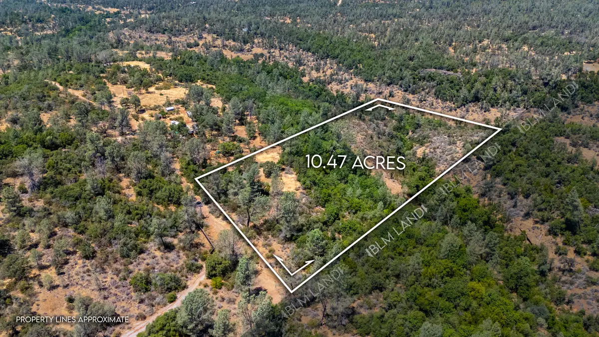 27010 Lack Creek Drive, Shingletown, CA 96088 - #1