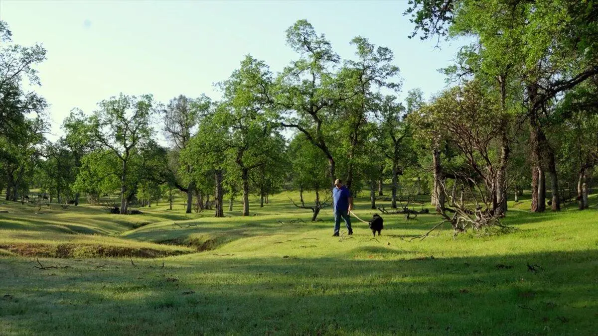 006 Old Oregon Trail, Redding, CA 96003 - #1