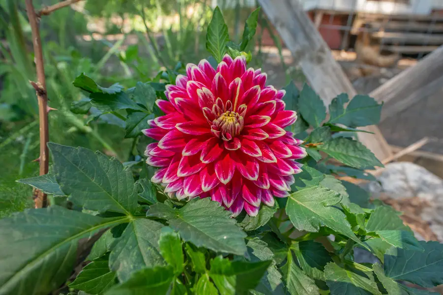 100 Wonder Stamp Lane, Big Bar, CA 96010 - Image #2