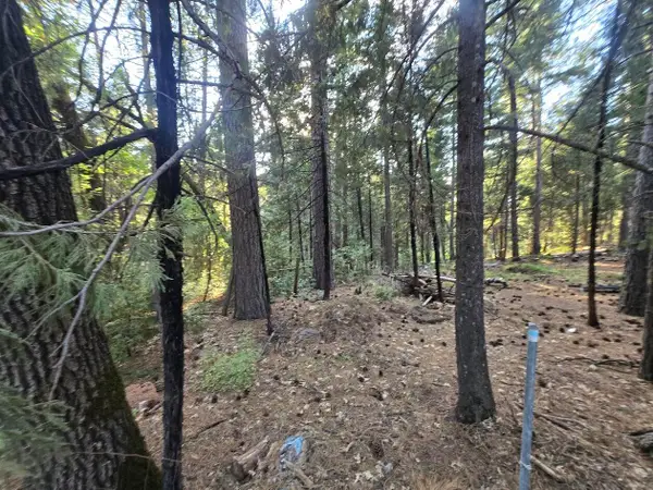 Frontier Road, Oak Run, CA 96069