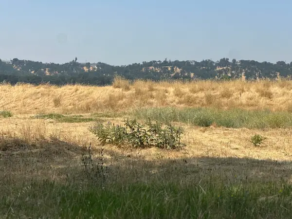 22626 Rio Alto Drive, Cottonwood, CA 96022