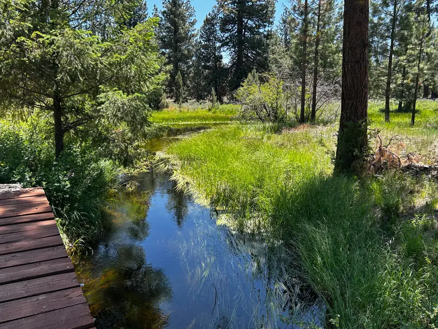 18801 Leavers Lane, Macdoel, CA 96058 - Image #2