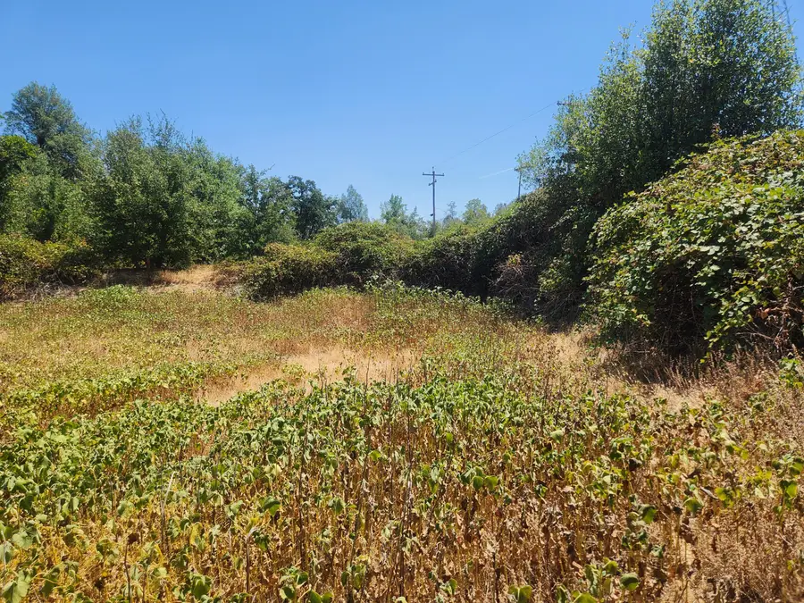 Thompson Lane, Redding, CA 96001 - Image #3