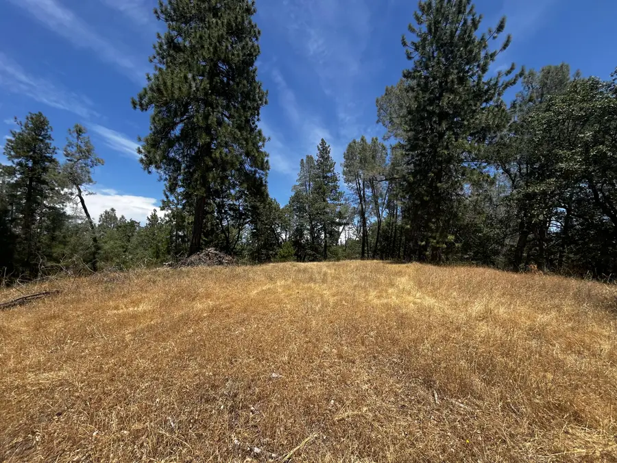 Backbone Road, Bella Vista, CA 96008 - Image #3