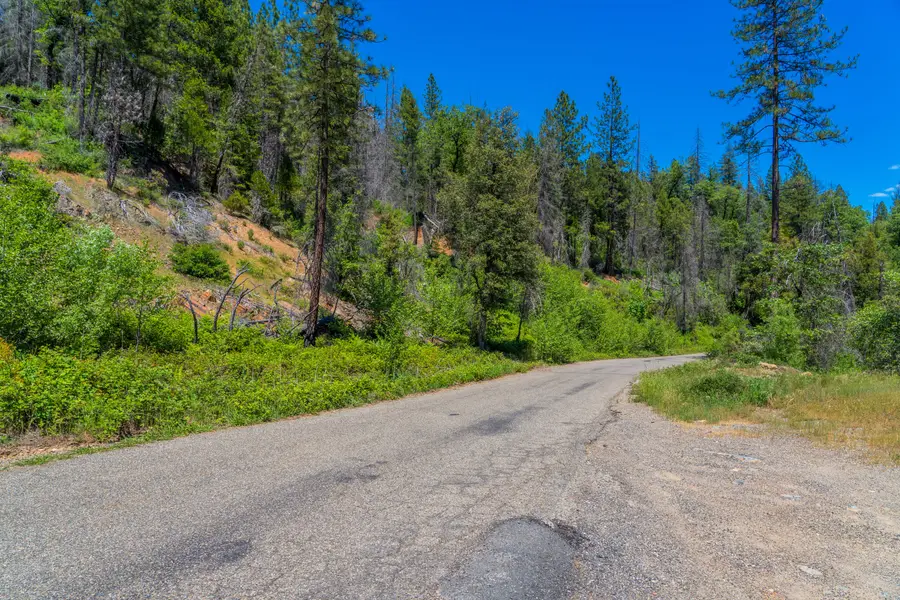 Dog Creek Rd, Lakehead, CA 96051 - Image #2