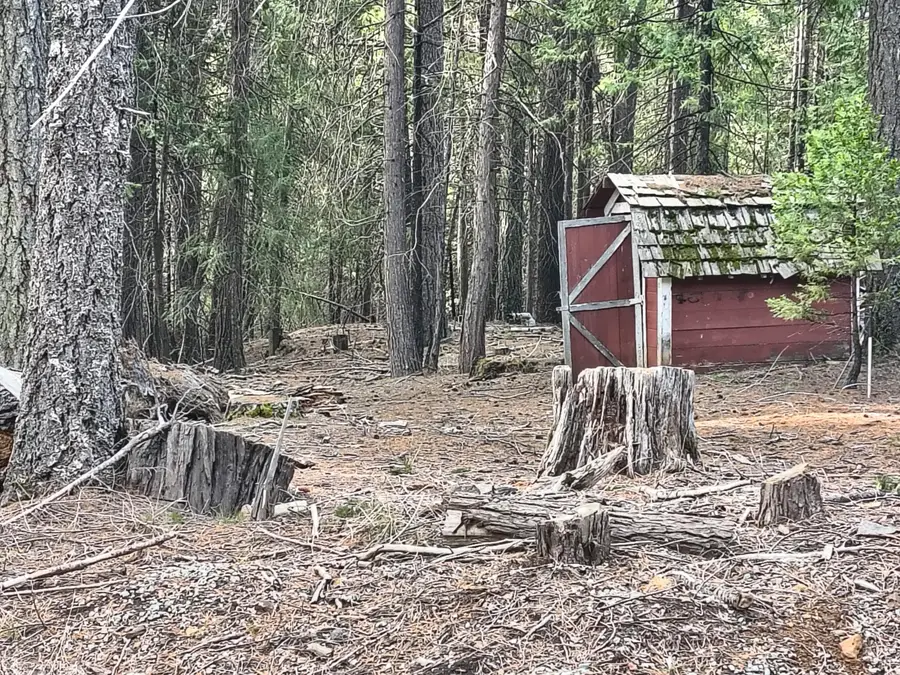 8681 Savannah Way, Shingletown, CA 96088 - Image #3